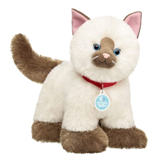 Promise Pets Ragdoll Kitten Stuffed Animal - Build-A-Bear Workshop Australia