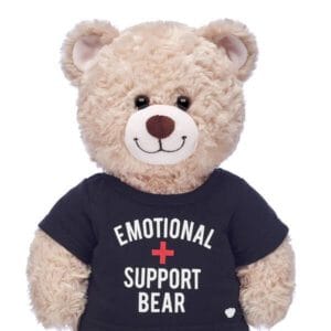 Emotional Support Bear T-Shirt - Build-A-Bear Workshop Australia