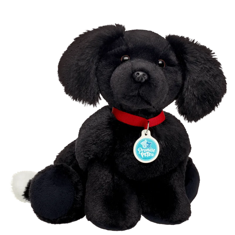 Promise Pets Black and White Dog - Build-A-Bear Workshop Australia