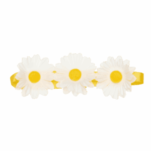 Daisy Flower Crown