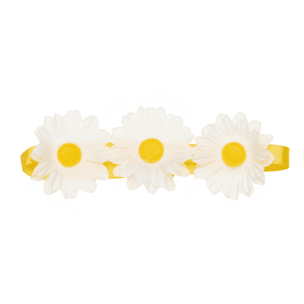 Daisy Flower Crown