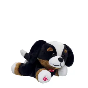 MB BERNESE