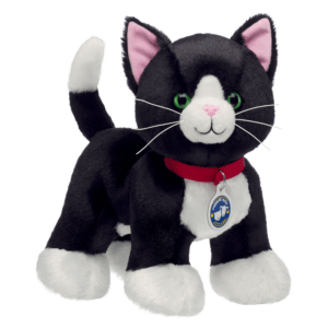 PP Tuxedo Cat 2026